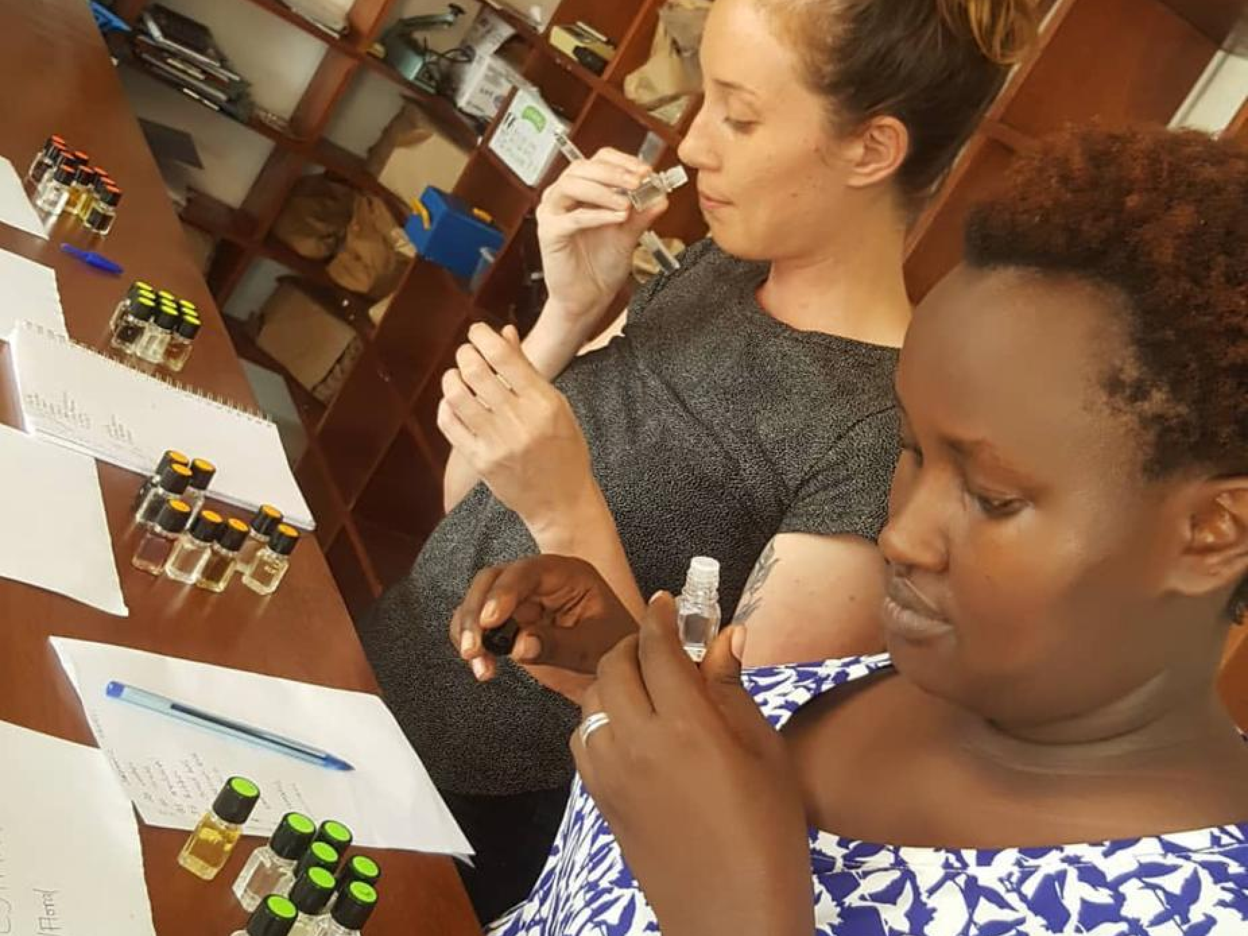 Introduction to Coffee Course