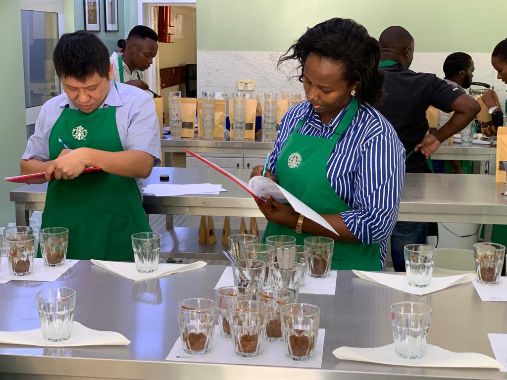 Sensory Judge Training