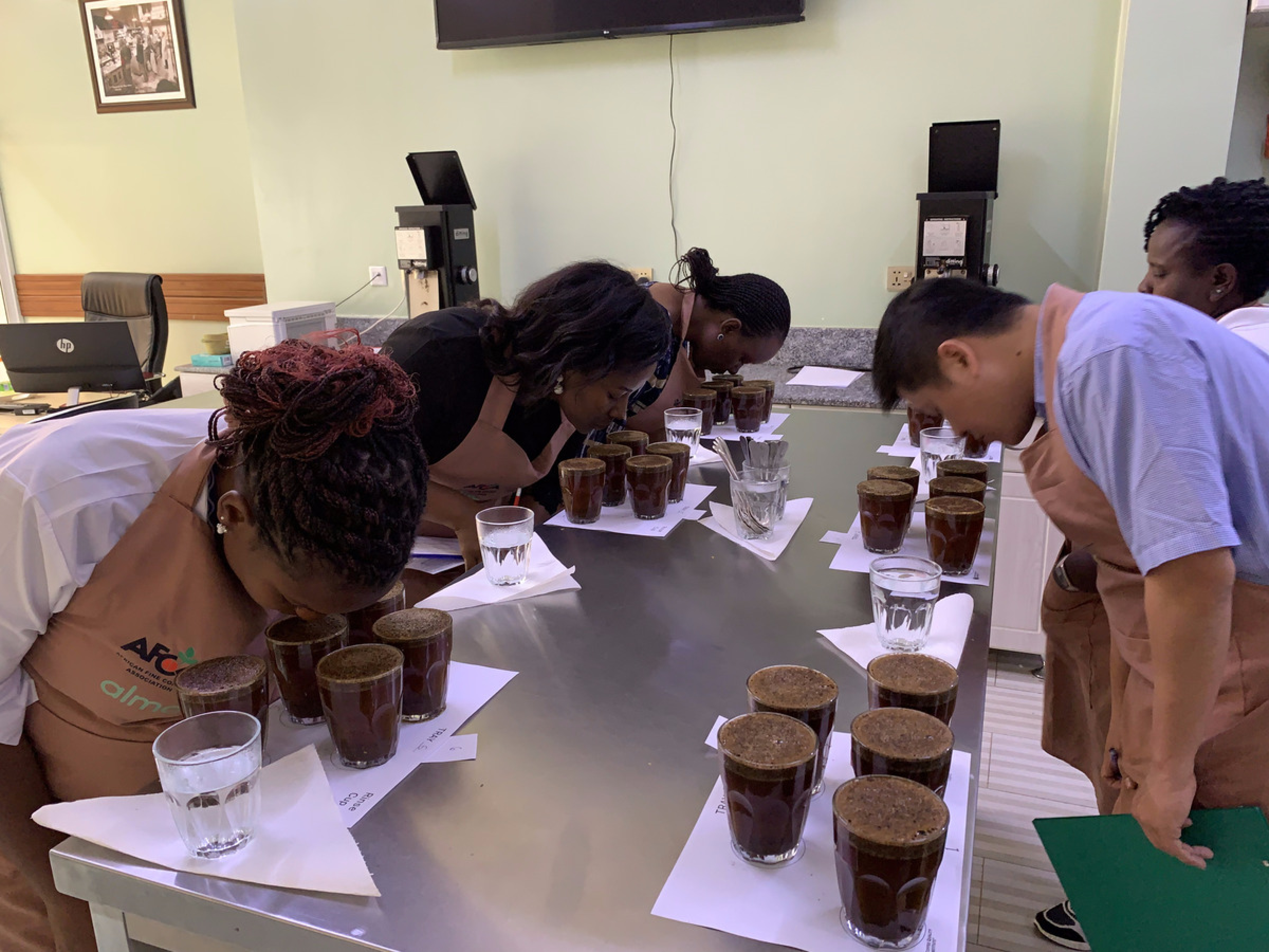 Roasting and Cupping Experience